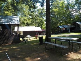 The Lake George Bear's Den