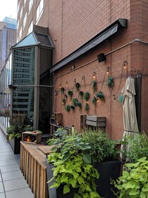 M Social Hotel Times Square New York