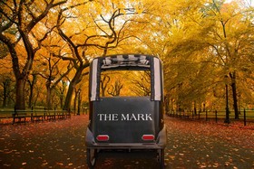 The Mark Hotel