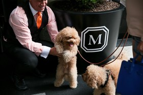 The Mark Hotel