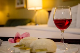 Ramada Plaza by Wyndham Rochester Airport