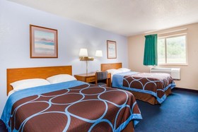 Super 8 by Wyndham Sidney NY