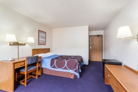 Super 8 by Wyndham Sidney NY