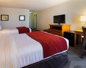 Comfort Inn & Suites Airport