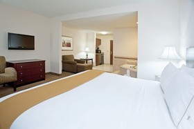Holiday Inn Express & Suites Rochester Webster