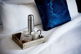 Foundry Hotel Asheville Curio Collection by Hilton