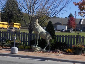 Best Western Mountain Lodge At Banner Elk