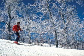 Best Western Mountain Lodge At Banner Elk