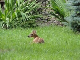 Klonteska Condominiums By VCI Real Estate Services