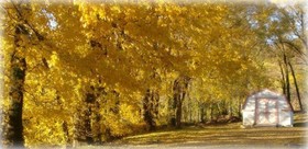 Carolina Country Inn