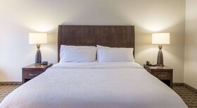 Hilton Garden Inn Raleigh Cary
