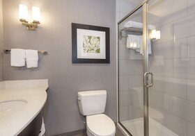 Hilton Garden Inn Raleigh Cary