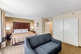 Comfort Inn Executive Park