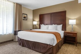 Comfort Inn Executive Park