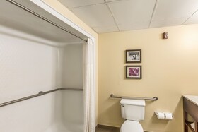 Comfort Inn Executive Park