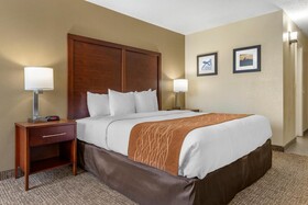 Comfort Inn Executive Park