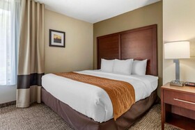 Comfort Inn Executive Park