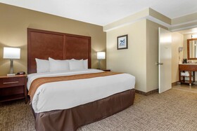 Comfort Inn Executive Park