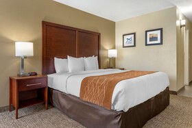 Comfort Inn Executive Park