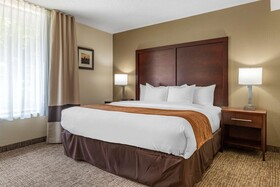 Comfort Inn Executive Park