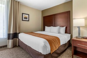 Comfort Inn Executive Park