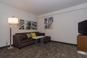 SpringHill Suites Charlotte Ballantyne