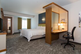 SpringHill Suites Charlotte Ballantyne