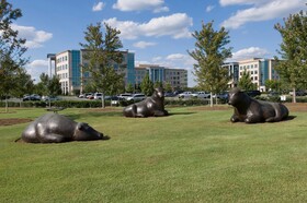 Staybridge Suites Charlotte-Ballantyne