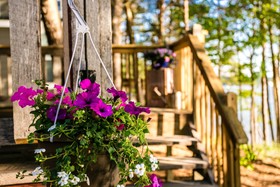 The Cove Cabins