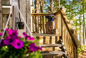 The Cove Cabins