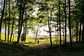 The Cove Cabins