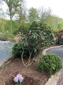 River's Edge Motel
