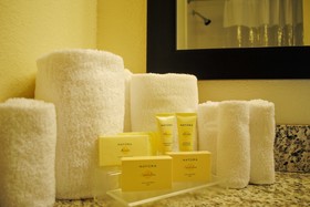 Village Inn Event Center Trademark Collection by Wyndham