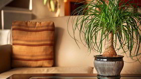 Best Western Butner Creedmoor Inn