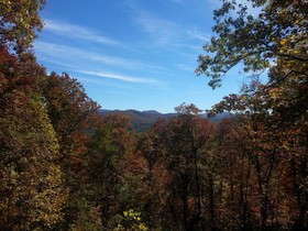 Arrowmont Stables & Cabins