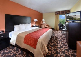Comfort Inn University