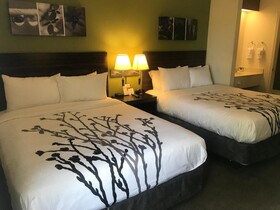 Sleep Inn  Raleigh Durham Airport