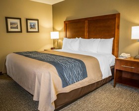 Comfort Inn Elizabeth City Near University