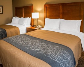 Comfort Inn Elizabeth City Near University