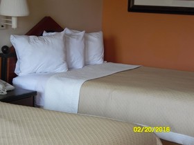 OYO hotel Greensboro east I 40