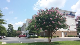 Candlewood Suites Greenville NC