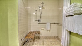 Holiday Inn Express Greenville