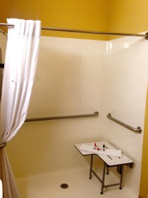 Microtel Inn & Suites by Wyndham Greenville/University Med