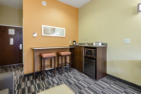 Microtel Inn & Suites by Wyndham Greenville/University Med