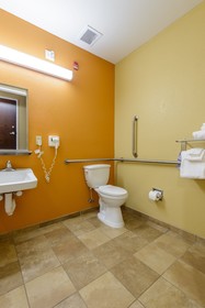 Microtel Inn & Suites by Wyndham Greenville/University Med