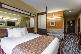 Microtel Inn & Suites by Wyndham Greenville/University Med