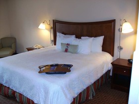 Hampton Inn Henderson I 85