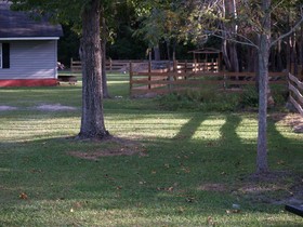 The White House on Freedom Way