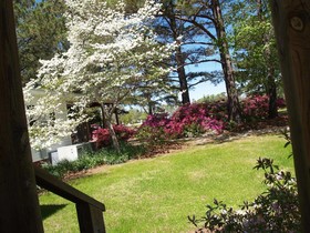 The White House on Freedom Way