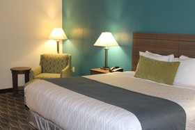 Best Western Plus Yadkin Valley Inn & Suites